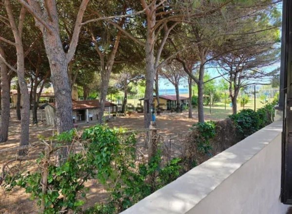 negozio in vendita a Cetraro