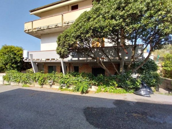 appartamento in vendita a Cetraro