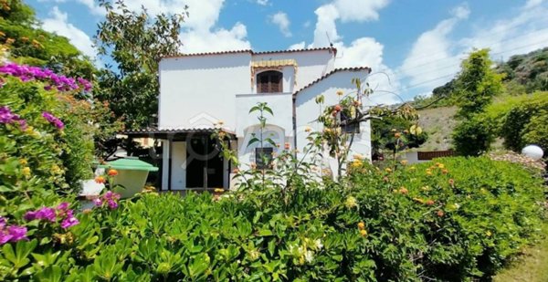 casa indipendente in vendita a Cetraro in zona Bosco