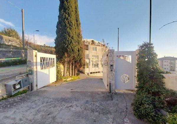appartamento in vendita a Cetraro in zona Bosco