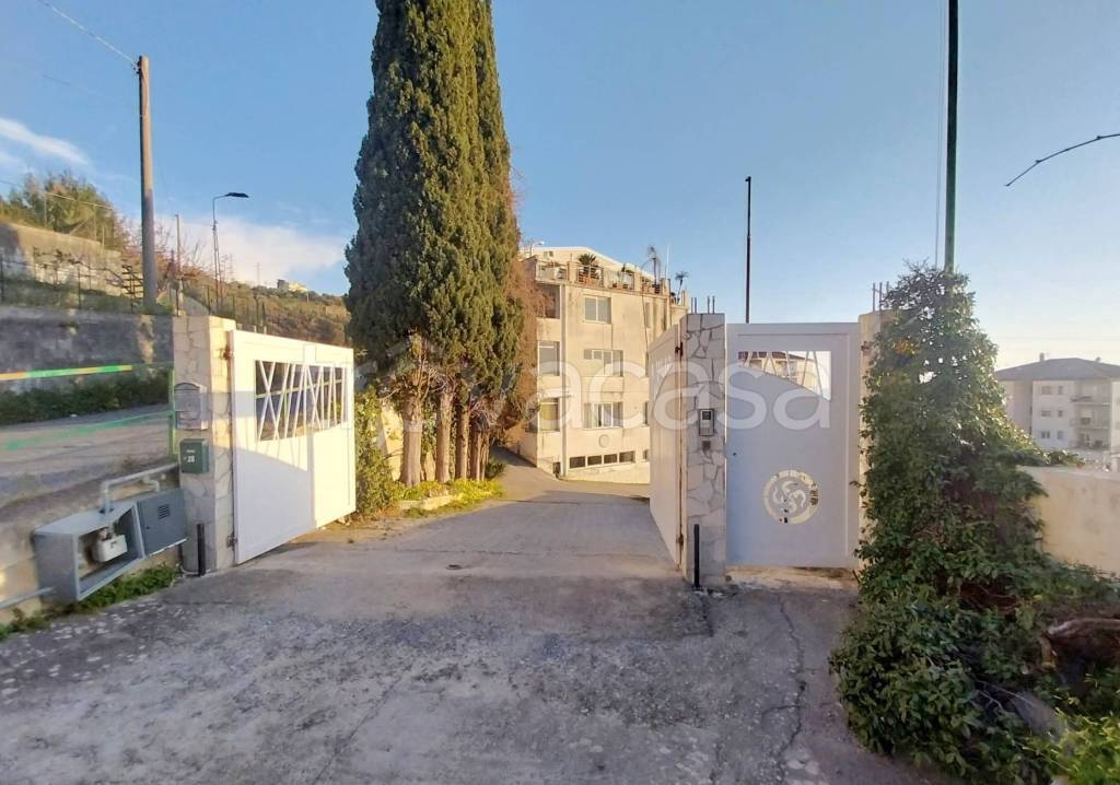 appartamento in vendita a Cetraro in zona Bosco