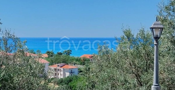 appartamento in vendita a Cetraro in zona Bosco