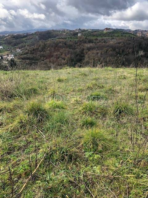 terreno agricolo in vendita a Cosenza in zona Sant'Ippolito