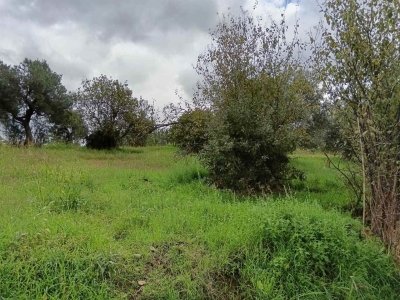 terreno edificabile in vendita a Cosenza in zona Sant'Ippolito