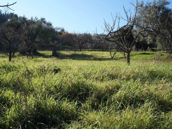terreno agricolo in vendita a Cosenza in zona Cosenza Vecchia