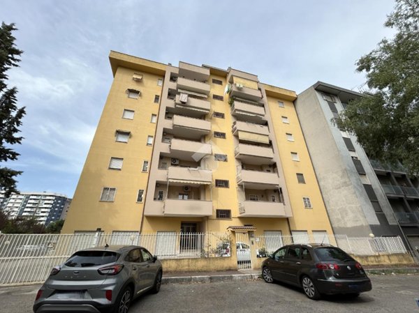 appartamento in vendita a Cosenza in zona Panebianco