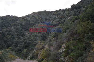mansarda in vendita a Cosenza