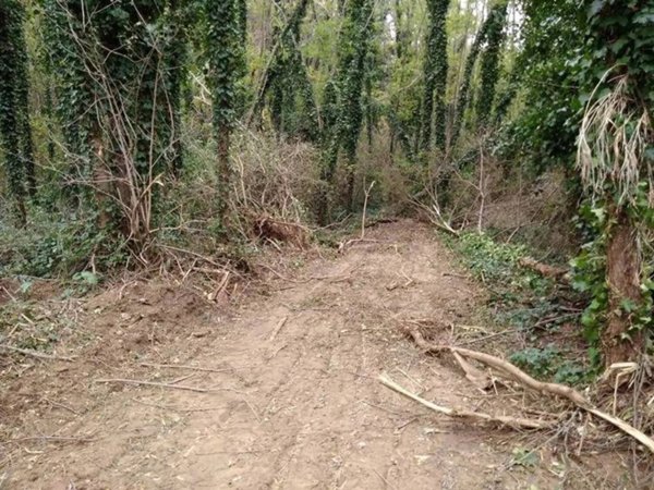 terreno agricolo in vendita a Cosenza in zona Donnici