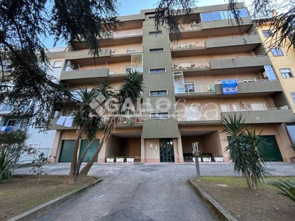 appartamento in vendita a Cosenza in zona Panebianco
