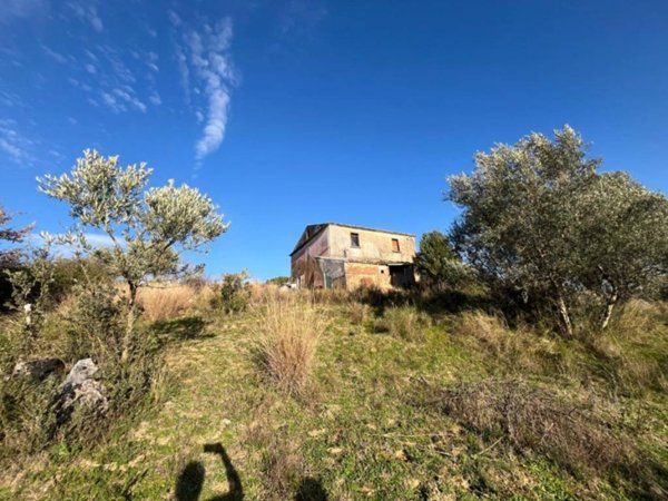 terreno agricolo in vendita a Cosenza in zona Stadio