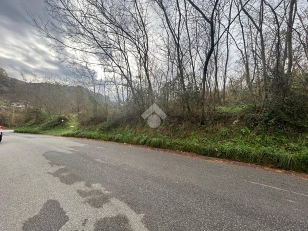 terreno agricolo in vendita a Cosenza in zona Via Popilia