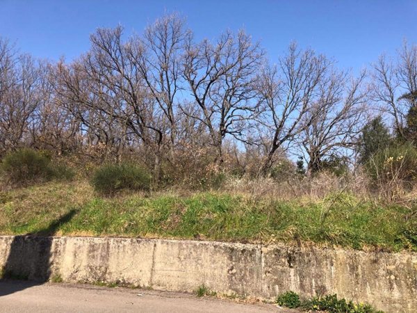 terreno agricolo in vendita a Cosenza in zona Cosenza Vecchia