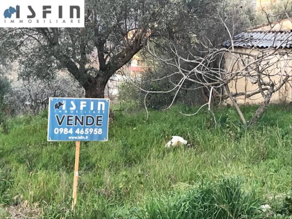 immagine annuncio 0 di 5