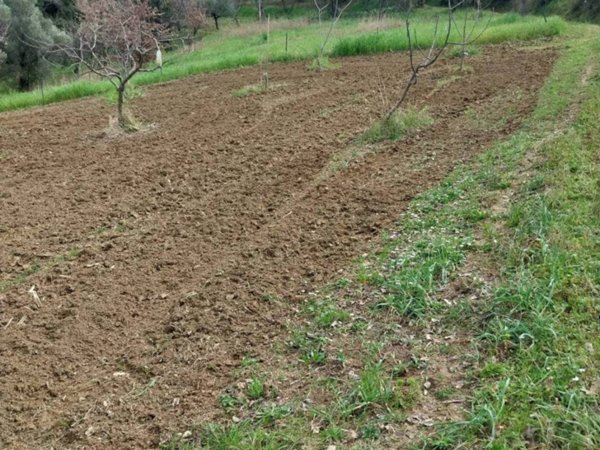 terreno agricolo in vendita a Cosenza in zona Donnici