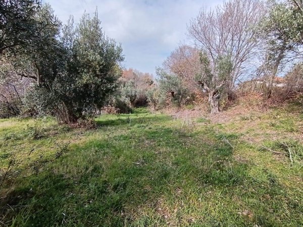 terreno agricolo in vendita a Cosenza in zona Borgo Partenope