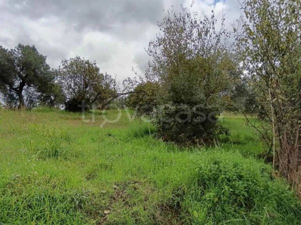 terreno edificabile in vendita a Cosenza in zona Sant'Ippolito
