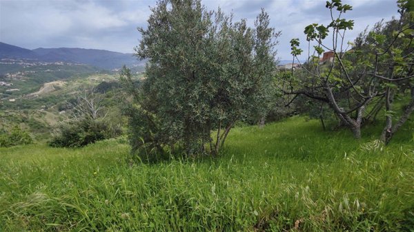 terreno agricolo in vendita a Cosenza in zona Cosenza Vecchia