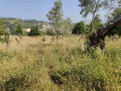 terreno edificabile in vendita a Cosenza in zona Cosenza Vecchia