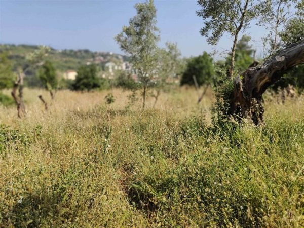 terreno edificabile in vendita a Cosenza in zona Cosenza Vecchia