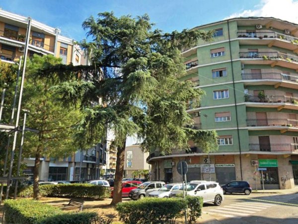 negozio in vendita a Cosenza