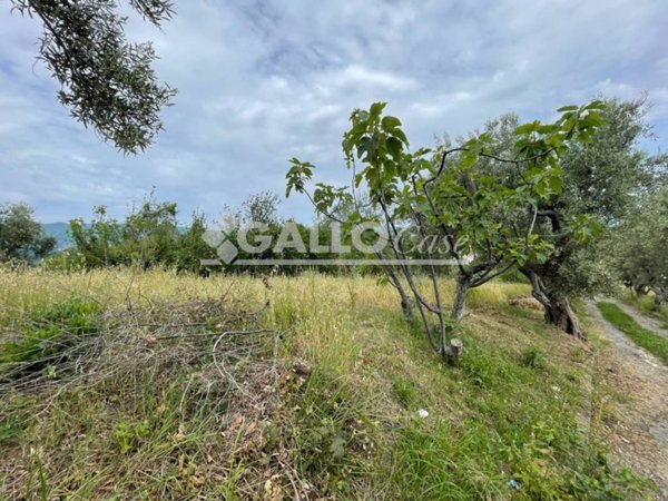 terreno edificabile in vendita a Cosenza