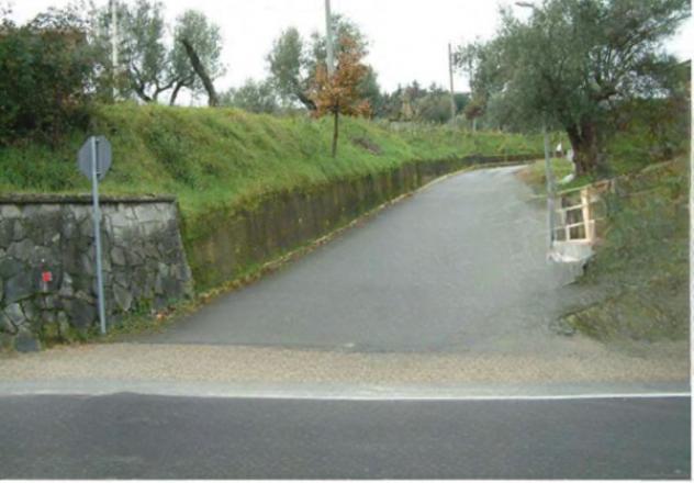 pentavano in vendita a Cosenza in zona Albo