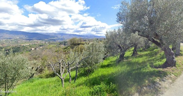 terreno agricolo in vendita a Cosenza in zona Cosenza Vecchia