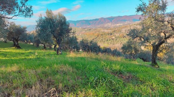 terreno edificabile in vendita a Cosenza