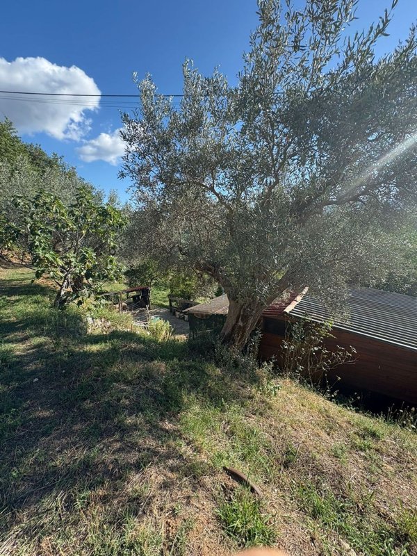 casa indipendente in vendita a Cosenza in zona Sant'Ippolito