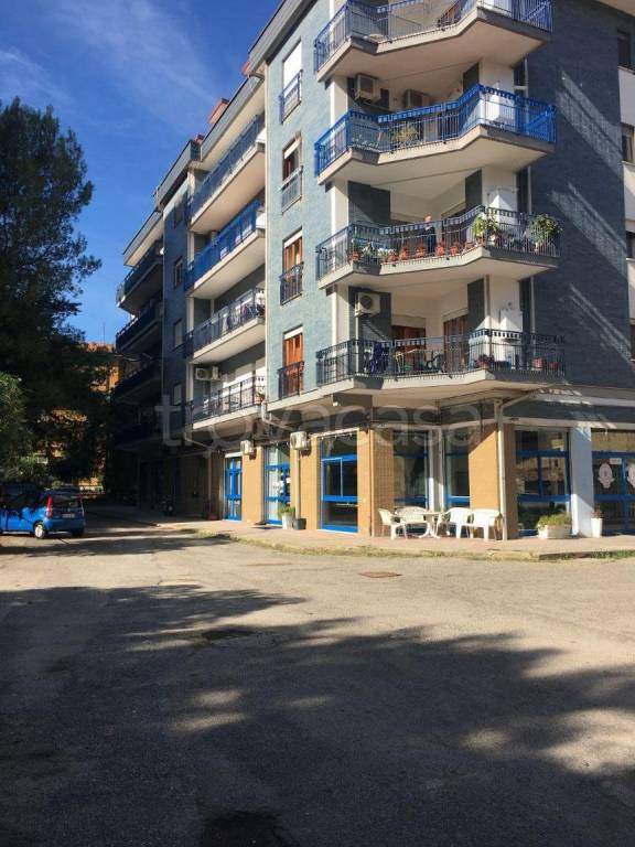 appartamento in vendita a Cosenza in zona Panebianco