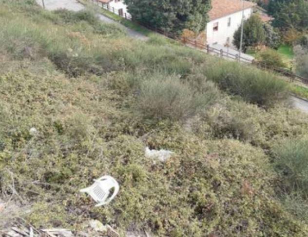 terreno agricolo in vendita a Cosenza
