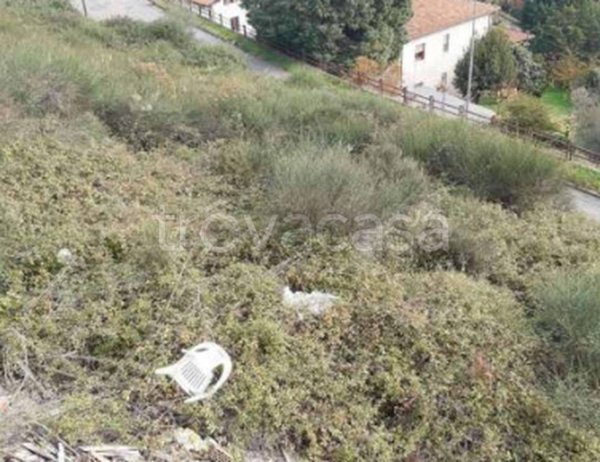 terreno agricolo in vendita a Cosenza
