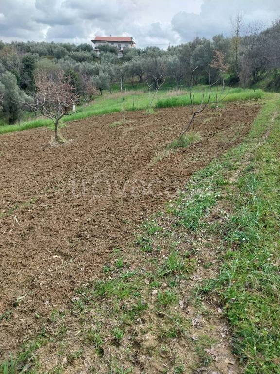 terreno agricolo in vendita a Cosenza in zona Donnici
