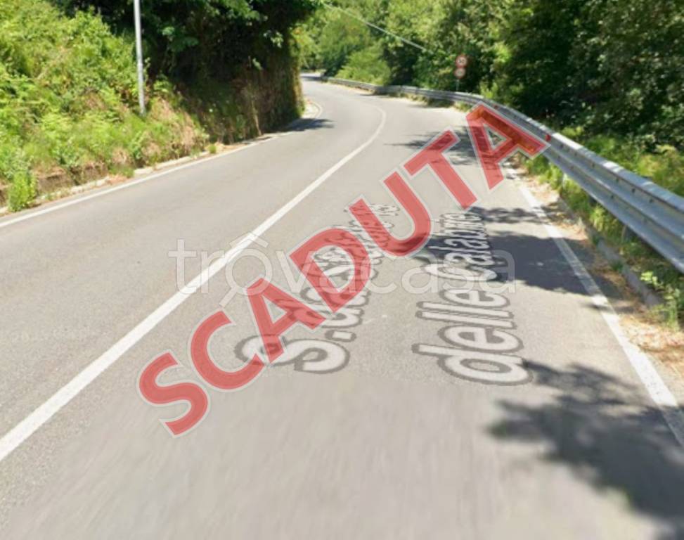 terreno agricolo in vendita a Cosenza in zona Sant'Ippolito