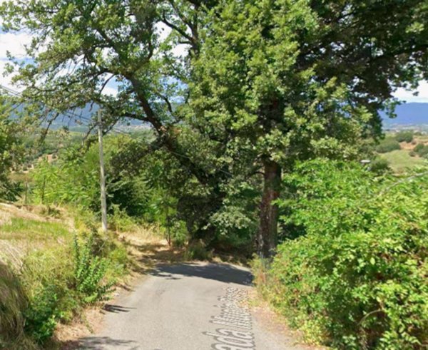 appartamento in vendita a Cosenza