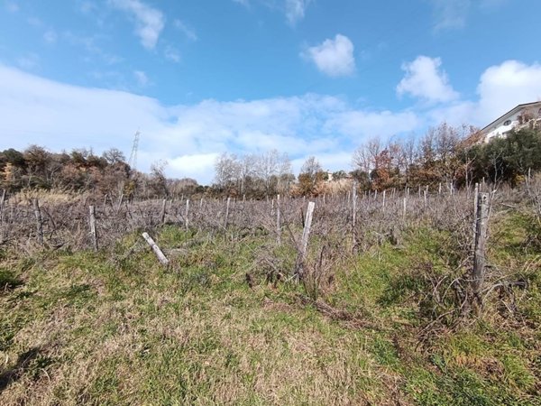 terreno agricolo in vendita a Cosenza in zona Borgo Partenope