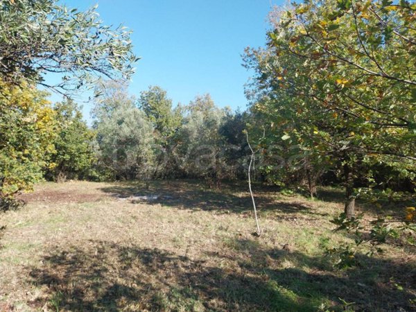 terreno edificabile in vendita a Cosenza in zona Donnici