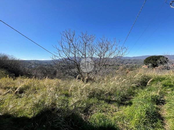 terreno edificabile in vendita a Cosenza in zona Cosenza Vecchia