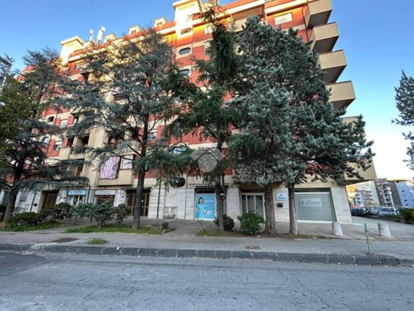 appartamento in vendita a Cosenza in zona Panebianco