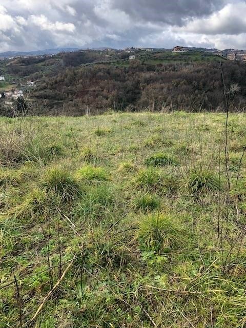 terreno agricolo in vendita a Cosenza