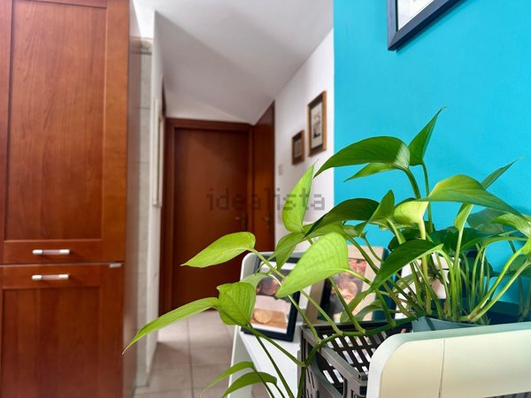 appartamento in vendita a Cosenza in zona Panebianco