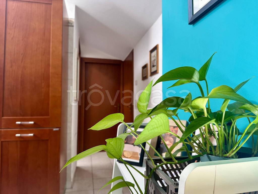 appartamento in vendita a Cosenza in zona Panebianco