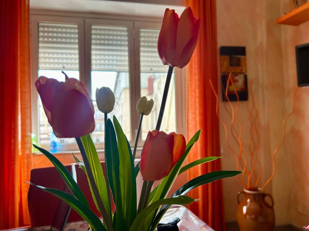 appartamento in vendita a Cosenza