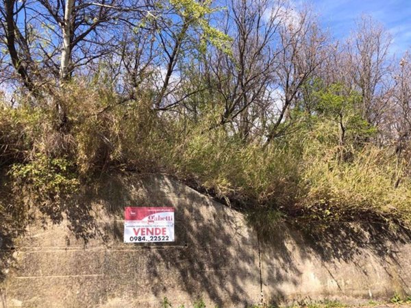 terreno agricolo in vendita a Cosenza in zona Cosenza Vecchia