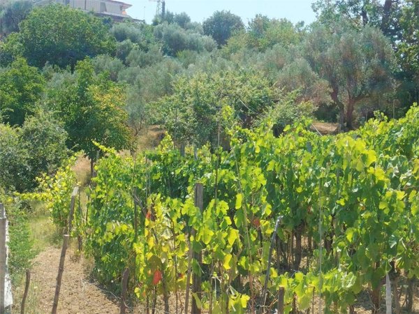 casa indipendente in vendita a Cosenza