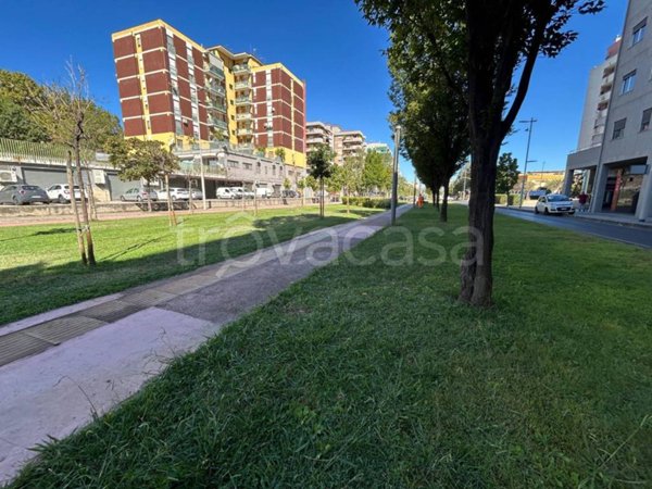 appartamento in vendita a Cosenza