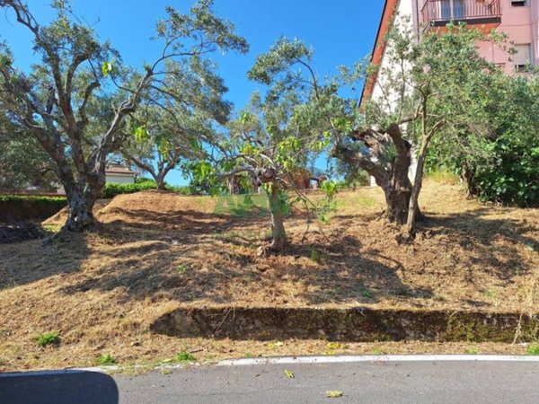 terreno edificabile in vendita a Cosenza in zona Borgo Partenope
