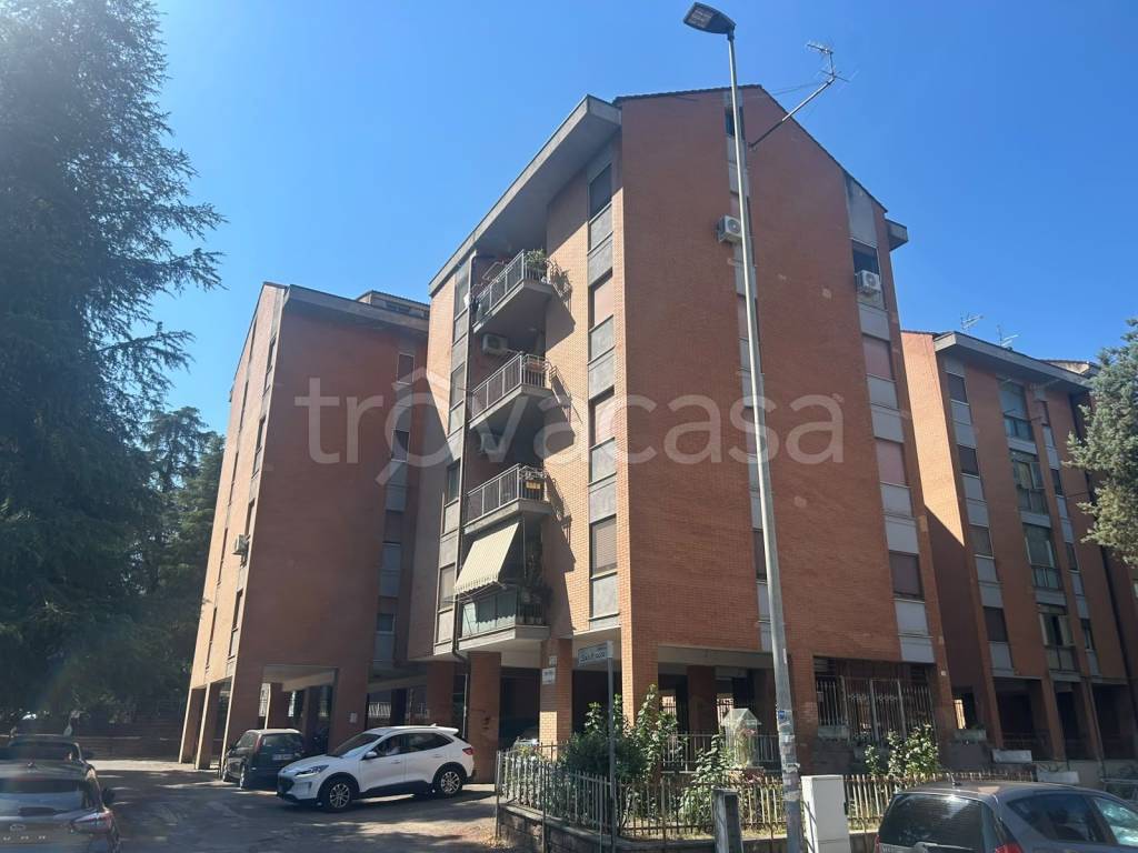 appartamento in vendita a Cosenza in zona Panebianco