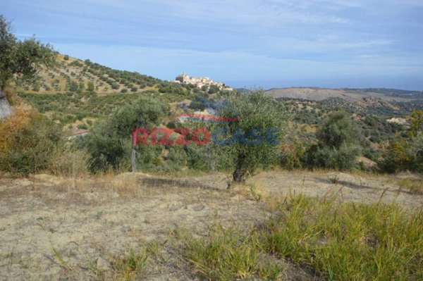 terreno agricolo in vendita a Crosia