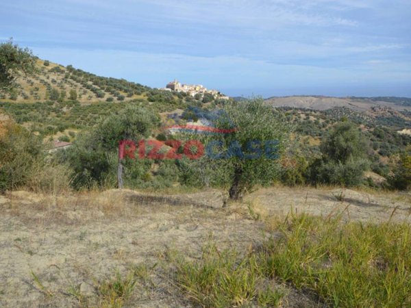 terreno agricolo in vendita a Crosia